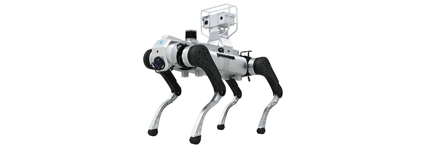 D1 Max-Solution-Patrol-System