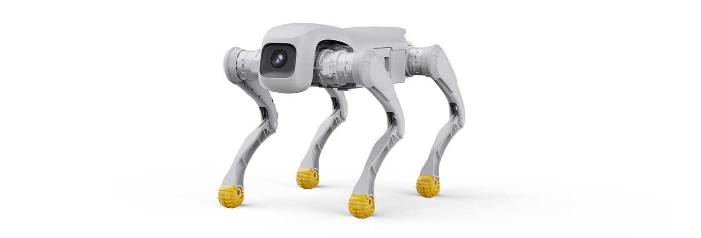 D1 EDU-Robot